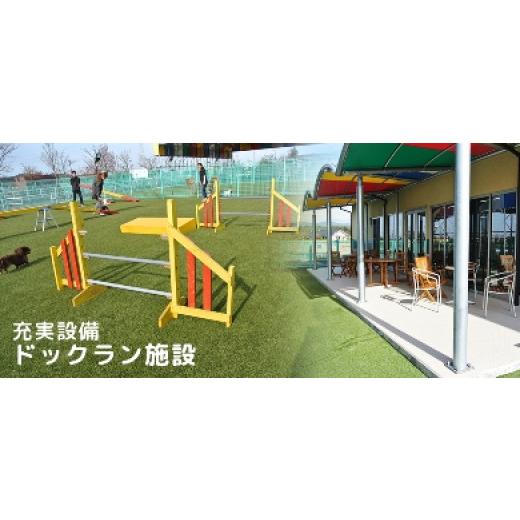 ふるさと納税 体験チケット 福岡県 大任町 道の駅おおとう桜街道ドッグラン施設利用券(500円券×10枚つづり) 道の駅 おおとう桜街道 ひまわり コスモス 秋桜…