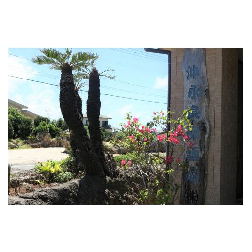 ふるさと納税 鹿児島県 和泊町 沖永良部島で造られた奄美黒糖焼酎　「稲乃露」・「まぁさん」6本セット 稲乃露 まぁさん