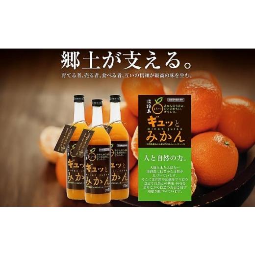 ふるさと納税 果汁飲料 みかん 兵庫県 南あわじ市 淡路島ギュッとみかん　720ｍL（12本入り）_2