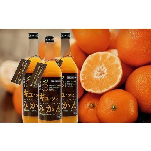 ふるさと納税 果汁飲料 みかん 兵庫県 南あわじ市 淡路島ギュッとみかん　720ｍL（12本入り）_4