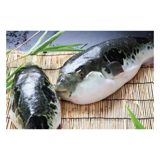 ふるさと納税 フグ 兵庫県 南あわじ市 冷凍 淡路島3年とらふぐ 月 ふぐ鍋・刺身セット(5〜6人前)_7