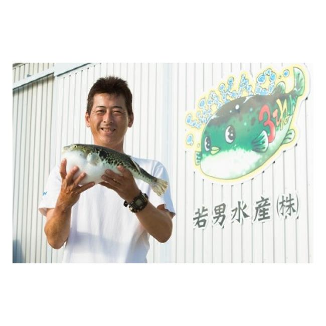 ふるさと納税 フグ 兵庫県 南あわじ市 冷凍 淡路島3年とらふぐ 月 ふぐ鍋・刺身セット(5〜6人前)_8