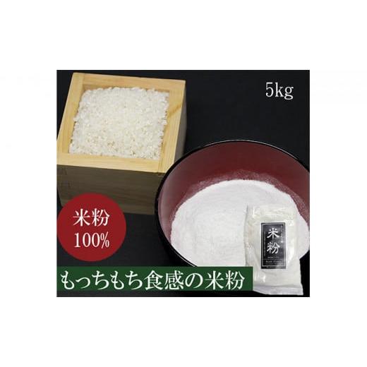 ふるさと納税 岐阜県 海津市 米粉(500g)10袋セット
