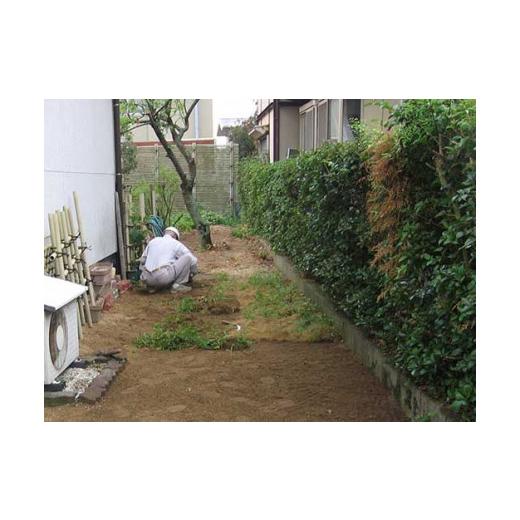 ふるさと納税 地域のお礼の品 広島県 尾道市 空家等の除草 Aプラン 代行 空家 清掃 除草