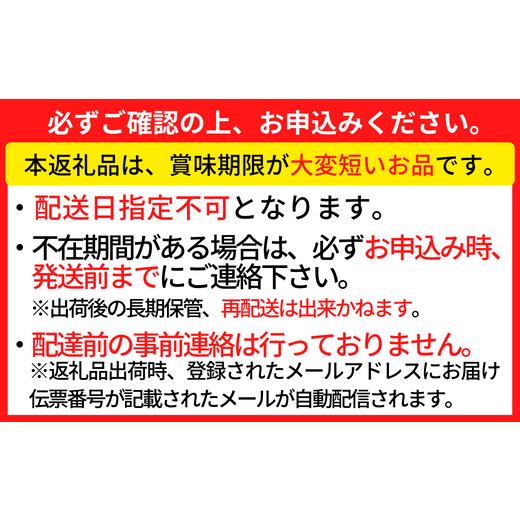 ふるさと納税 兵庫県 香美町 【訳あり 香住ガニ 釜茹で 大きめ 約600g×3匹（約1.8kg以上）冷蔵】5月20日以降のご入金分は9月中旬以降順次発送 カニの本場 香…｜furusatochoice｜06