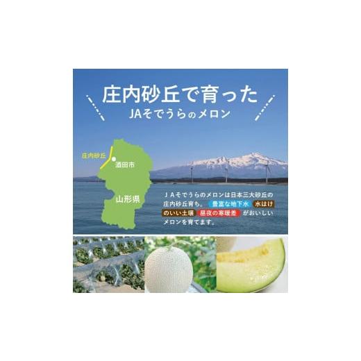 ふるさと納税 山形県 酒田市 SA2132　砂丘育ちの甘えんぼう「青肉メロン」　計3.2kg以上(2玉入つる付き)｜furusatochoice｜05