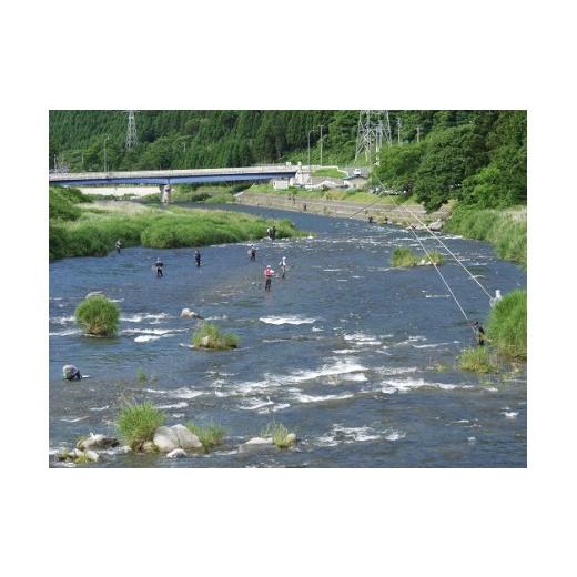 ふるさと納税 イベントやチケット等 岩手県 住田町 気仙川遊漁券