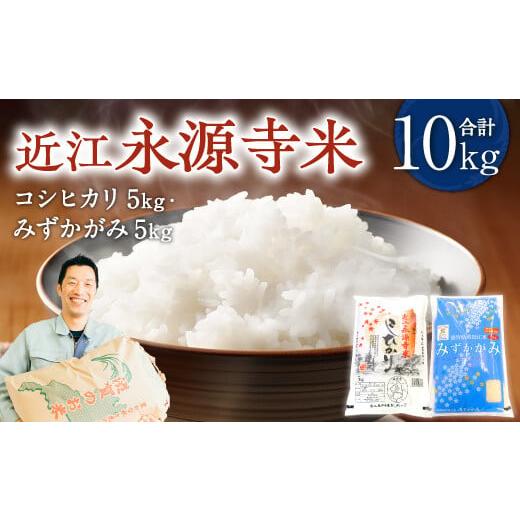 ふるさと納税 米 コシヒカリ 滋賀県 東近江市 C-D25 近江永源寺米 食べ比べセット B コシヒカリ・みずかがみ 各5kg 計10kg お米 白米 おいしい お米 こめ おこ…