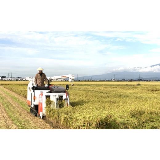 ふるさと納税 米 ミルキークイーン 山形県 三川町  令和8年産・精米 米蔵いいの特別栽培米ミルキークイーン20kg（5kg×4袋） 10月上旬頃から順次配送 令和8年…の画像