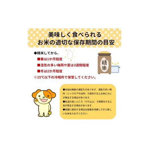 ふるさと納税 米 ミルキークイーン 山形県 三川町  令和8年産・精米 米蔵いいの特別栽培米ミルキークイーン20kg（5kg×4袋） 10月上旬頃から順次配送 令和8年…の画像