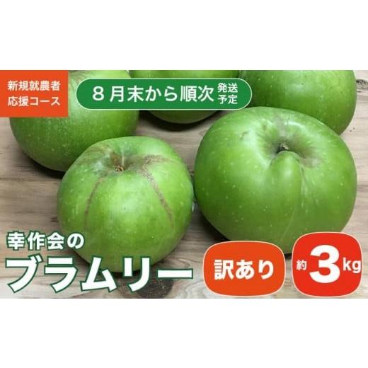 ふるさと納税 りんご 長野県 小布施町 訳あり ブラムリー 約3kg [新規就農者応援コース 幸作会]フルーツ 果物 リンゴ りんご 林檎 クッキング アップル 長…