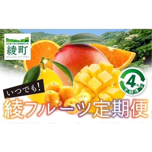 ふるさと納税 宮崎県 綾町 いつでも綾フルーツ定期便(14-34)