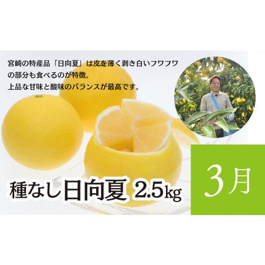 ふるさと納税 宮崎県 綾町 いつでも綾フルーツ定期便（14-34） 
