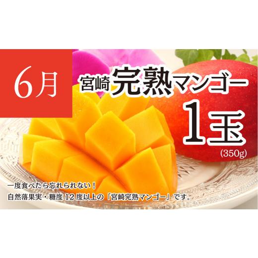 ふるさと納税 宮崎県 綾町 いつでも綾フルーツ定期便（14-34） 