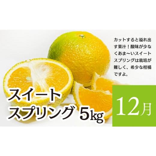 ふるさと納税 宮崎県 綾町 いつでも綾フルーツ定期便（14-34） 