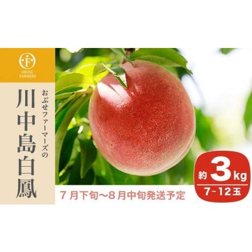 ふるさと納税 もも 長野県 小布施町 川中島白鳳 約3kg 7〜12玉 ［おぶせファーマーズ］果物 フルーツ 桃 もも モモ クール便 冷蔵便 長野県産 信州産 令和8年…の画像