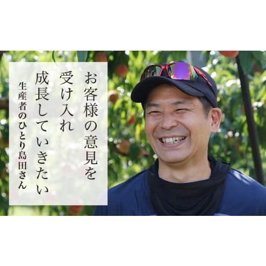 ふるさと納税 もも 長野県 小布施町 川中島白鳳 約3kg 7〜12玉 ［おぶせファーマーズ］果物 フルーツ 桃 もも モモ クール便 冷蔵便 長野県産 信州産 令和8年…の画像