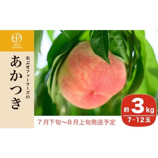 ふるさと納税 もも 長野県 小布施町 あかつき 約3kg 7〜12玉 ［おぶせファーマーズ］桃 もも モモ フルーツ 果物 クール便 冷蔵便 長野県産 信州産 令和8年産 …の画像