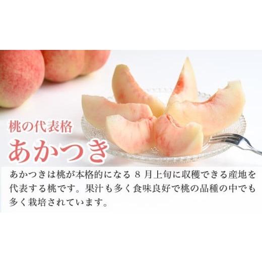 ふるさと納税 もも 長野県 小布施町 あかつき 約3kg 7〜12玉 ［おぶせファーマーズ］桃 もも モモ フルーツ 果物 クール便 冷蔵便 長野県産 信州産 令和8年産 …の画像