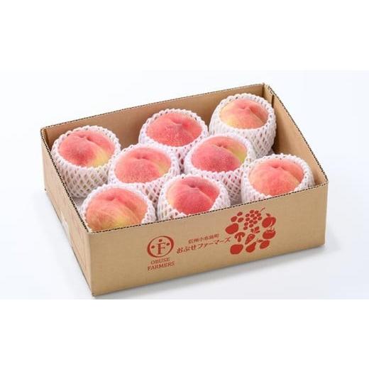 ふるさと納税 もも 長野県 小布施町 あかつき 約3kg 7〜12玉 ［おぶせファーマーズ］桃 もも モモ フルーツ 果物 クール便 冷蔵便 長野県産 信州産 令和8年産 …の画像