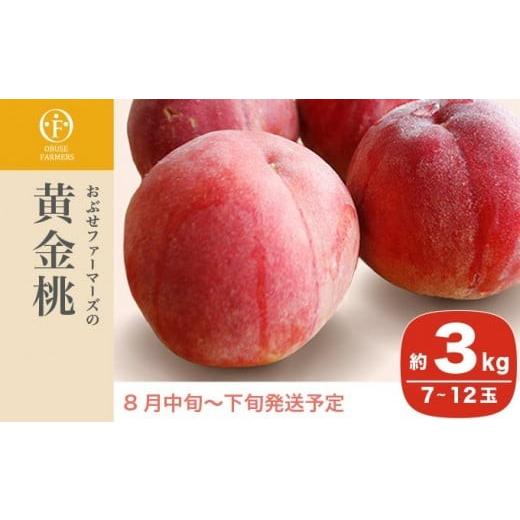 ふるさと納税 もも 長野県 小布施町 黄金桃 約3kg 7〜12玉 ［おぶせファーマーズ］桃 もも モモ フルーツ 果物 クール便 冷蔵便 長野県産 信州産 令和8年産 20…の画像