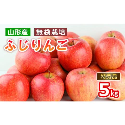 ふるさと納税 りんご 山形県 山形市 山形産無袋栽培ふじりんご特秀5kg 令和8年産先行予約 FS25-772