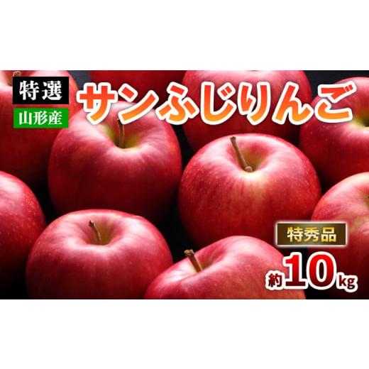 ふるさと納税 りんご 山形県 山形市 特選 山形のサンふじりんご 約10kg 特秀品(20〜50玉) 令和8年産先行予約 FS25-791