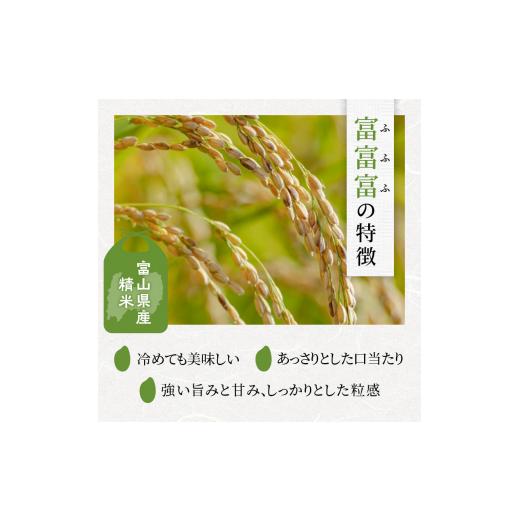 ふるさと納税 富山県 射水市 [No.5683-0217]富富富 3合 8個入り セット 詰め合わせ ギフト 米 お米 こめ コメ おこめ｜furusatochoice｜04