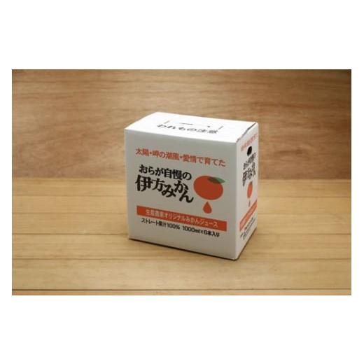 ふるさと納税 愛媛県 伊方町 【愛媛県産】おらが自慢の伊方みかんジュース（1000ml×6本） ストレート果汁100％ ※2023年12月上旬より順次発送予定 ふるさと納税 ※2023年12月上旬より順次発送予定 NAN1178853003(11700円)