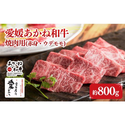 ふるさと納税 牛肉 焼肉・バーベキュー 愛媛県 松前町 昭和50年創業 愛媛あかね和牛 焼肉用 バーベキュー BBQ 赤身ウデモモ(約800g) | 国産 和牛 牛肉 ブ…