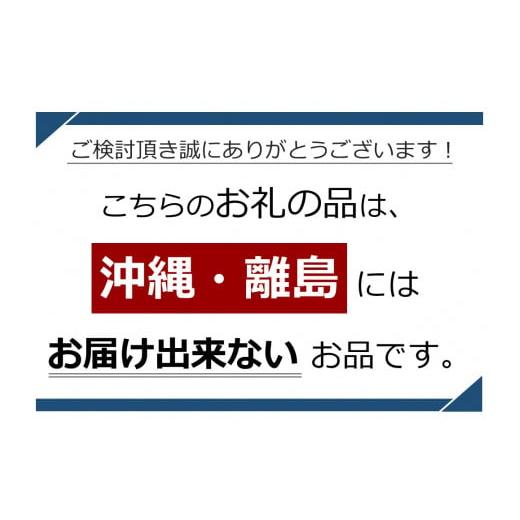 ふるさと納税 長野県 千曲市 ナガノパープル 特秀品 加湿ハウス栽培 1房｜furusatochoice｜05