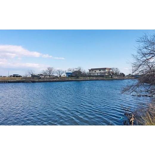 ふるさと納税 岐阜県 海津市 [No.5533-0090]遊漁承認証（年釣券） 