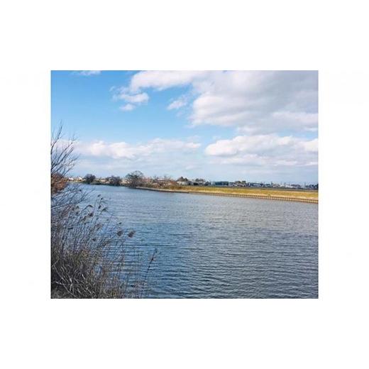 ふるさと納税 岐阜県 海津市 [No.5533-0090]遊漁承認証（年釣券） 