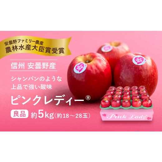 ふるさと納税 りんご 長野県 安曇野市 信州安曇野 ピンクレディー? 約5kg