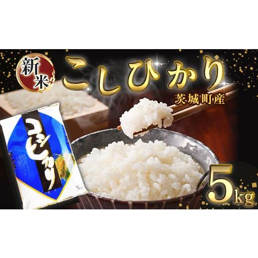 ふるさと納税 米 コシヒカリ 茨城県 茨城町 168 令和7年産 茨城町産 こしひかり 5kg 野口ライス