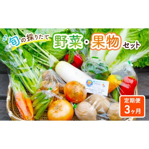 ふるさと納税 神奈川県 綾瀬市 野菜セット 定期便 3ヶ月 旬の採りたて 野菜 果樹 セット フルーツセット