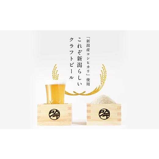 ふるさと納税 新潟県 胎内市 S06-1胎内高原ビール6本飲み比べセット（6種各1本）｜furusatochoice｜09