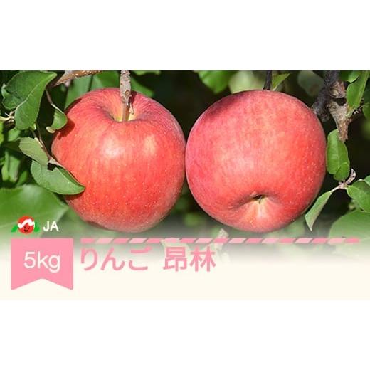 ふるさと納税 りんご 山形県 村山市 先行予約 りんご 昂林 約5kg 秀 2026年産 令和8年産 沖縄・離島への配送不可 ja-rikrx5