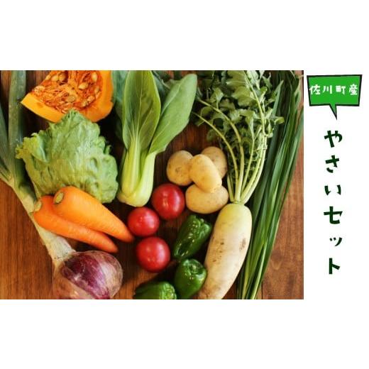 ふるさと納税 高知県 佐川町 高知から直送!旬の季節のお野菜セット(7~10品)