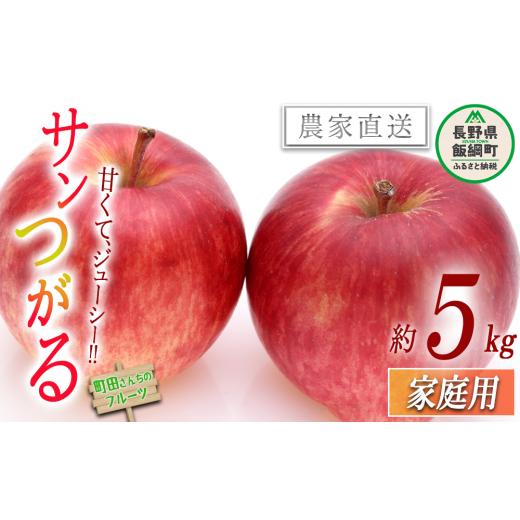 ふるさと納税 りんご 長野県 飯綱町 夏りんご りんご サンつがる 家庭用 5kg 沖縄県への配送不可 2026年8月下旬頃から2026年9月中旬頃まで順次発送予定 町田…