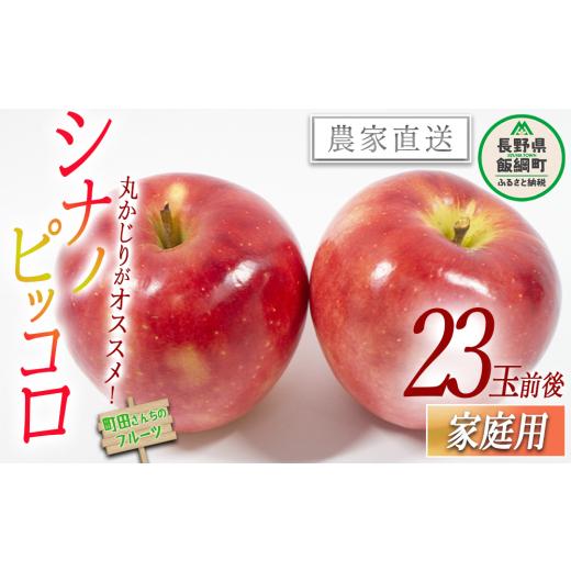 ふるさと納税 りんご 長野県 飯綱町 りんご シナノピッコロ 家庭用 約23玉 前後 沖縄県への配送不可 2026年9月下旬頃から2026年10月下旬頃まで順次発送予定 町…