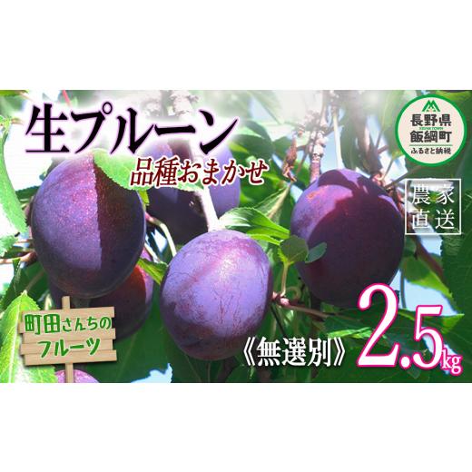 ふるさと納税 果物類 長野県 飯綱町 生プルーン 生食 プルーン 家庭用 2.5kg (2kg箱詰め) 無選別 沖縄県への配送不可 2026年8月上旬頃から2026年8月下旬頃…