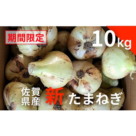 ふるさと納税 野菜類 玉ねぎ 佐賀県 佐賀市  期間限定 佐賀県産 新たまねぎ（10kg）：A095-054の画像