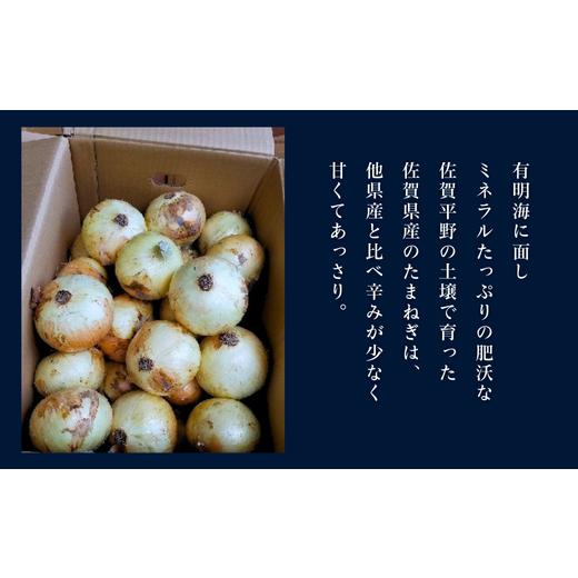 ふるさと納税 野菜類 玉ねぎ 佐賀県 佐賀市  期間限定 佐賀県産 新たまねぎ（10kg）：A095-054の画像