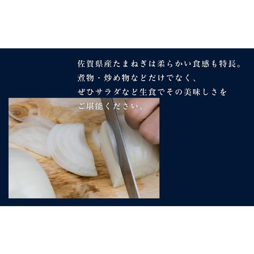 ふるさと納税 野菜類 玉ねぎ 佐賀県 佐賀市  期間限定 佐賀県産 新たまねぎ（10kg）：A095-054の画像