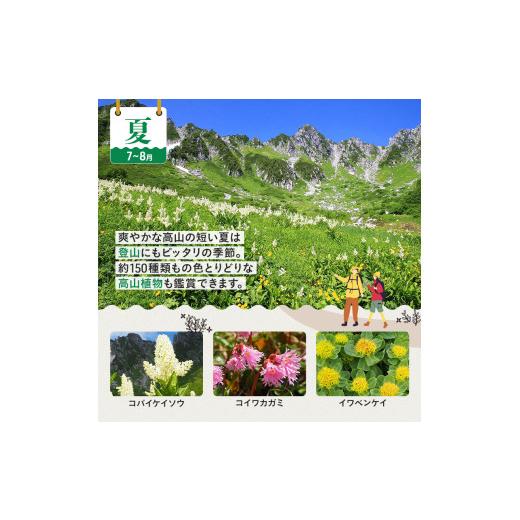 ふるさと納税 入場券・優待券 長野県 駒ヶ根市 駒ヶ岳ロープウェイ券「満足セット」（4名様分） チケット 入場券 優待券 路線バス優待券 No.5659-1084の画像