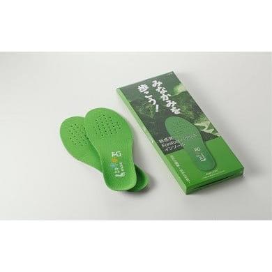 ふるさと納税 ファッション 群馬県 みなかみ町 インソール「みなかみを歩こう」1足 (4)26.5cm〜27.5cm インソール「みなかみを歩こう」 1足 (4)26.5cm…