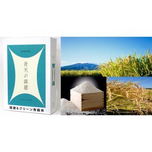 ふるさと納税 米 青森県 板柳町 「令和7年産」青天の霹靂 精米 5kg 青森県産 一等米 お米