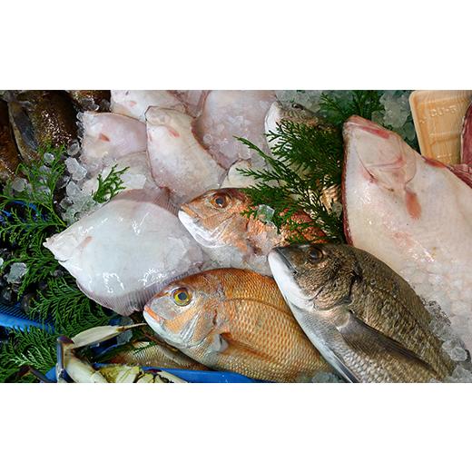 ふるさと納税 旬の鮮魚等 香川県 宇多津町 ［頒布会3回］瀬戸内海産の海産物の詰め合わせ（下処理ナシ） FAH-0124_3