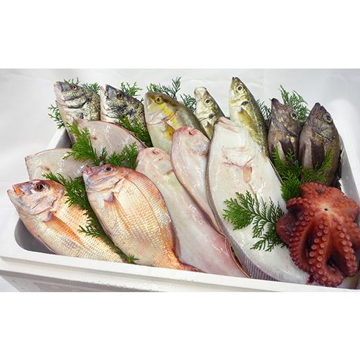 ふるさと納税 旬の鮮魚等 香川県 宇多津町 ［頒布会3回］瀬戸内海産の海産物の詰め合わせ（下処理ナシ） FAH-0124_4
